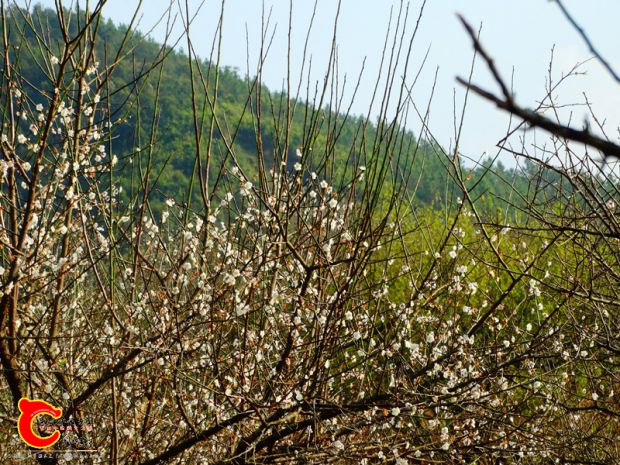DSC03618.JPG