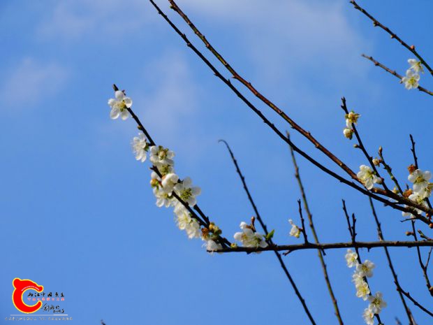 DSC03621.JPG