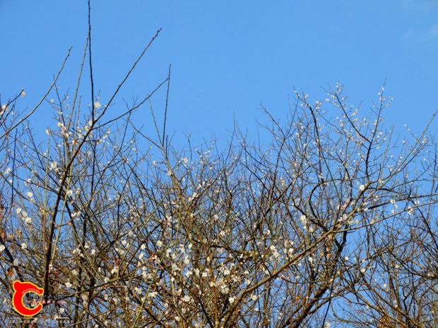 DSC03622.JPG