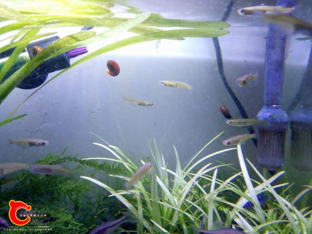 IMG20170108185654.jpg