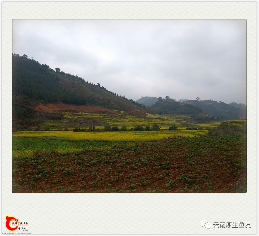bfe43ad9b53d907fec75ac8989487a63.jpg