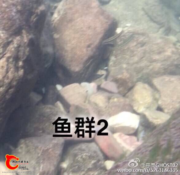 192213y7qa0577uc775cda.jpg