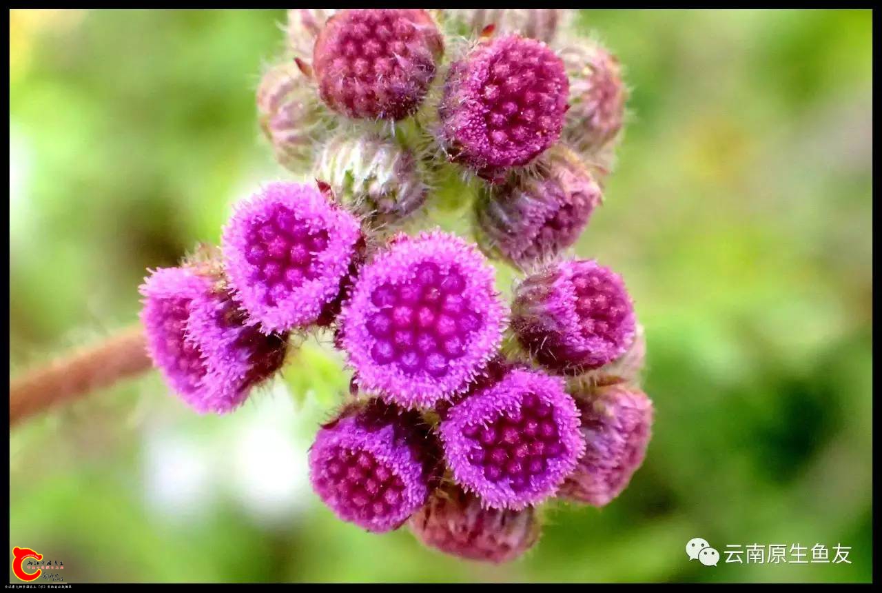 2cc7b74df020cb56f6bba307ef92ee5f.jpg