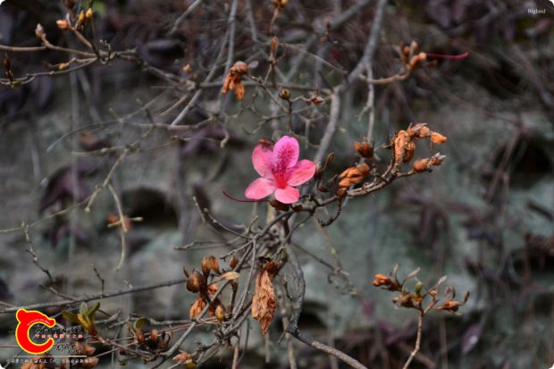 conew_2017-01-25 15-46-42.jpg