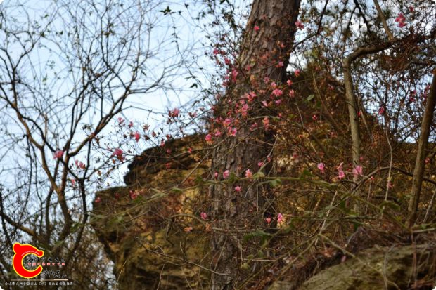 conew_2017-01-25 15-46-47.jpg