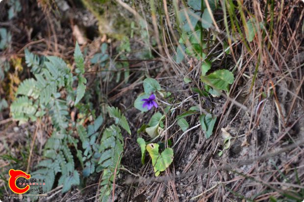 conew_2017-01-25 16-08-50.jpg