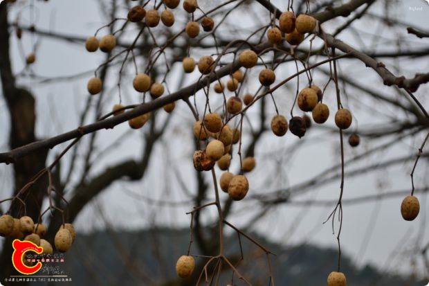conew_2017-01-28 14-38-16.jpg