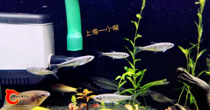 132852lzvz7o3jp9b4ozd1.jpg