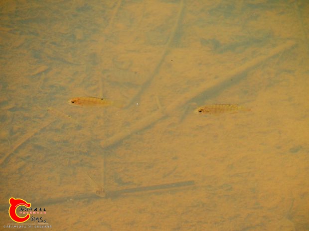 DSC03674.JPG