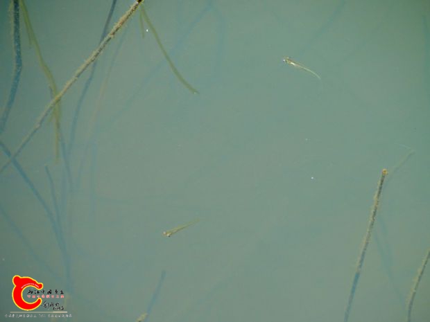 DSC03676.JPG