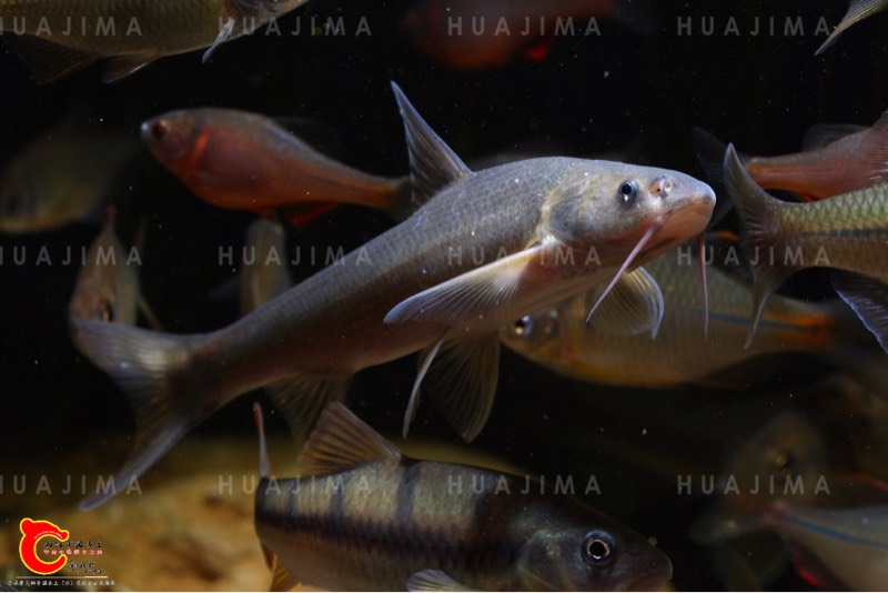 090435nh4chvn5vuvn5c5d.jpg