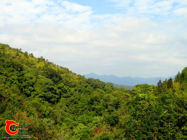 DSC03748.JPG