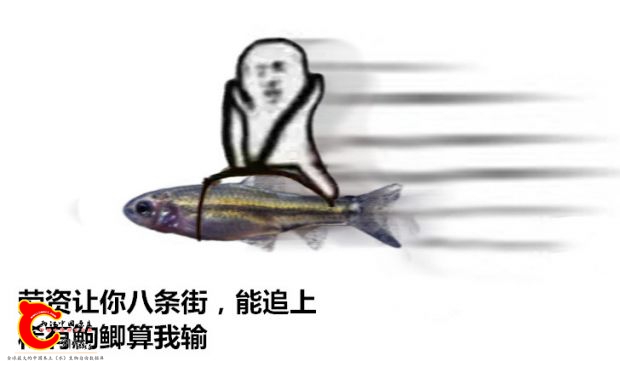 跑得快.jpg