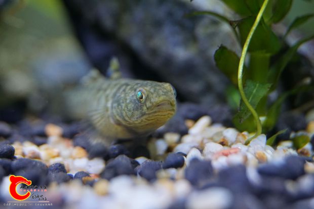 nEO_IMG_DSC05432.jpg