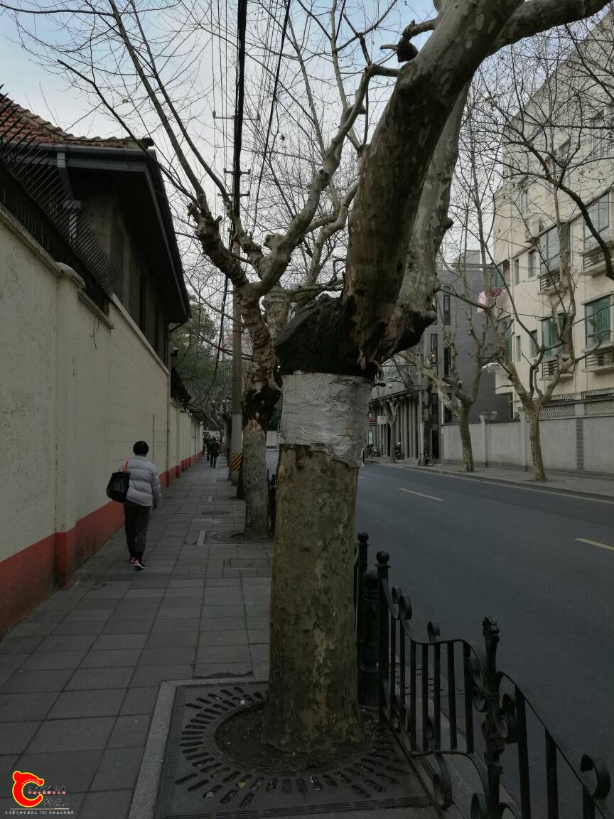 173613btf4sq84s4fsc1tf.jpg
