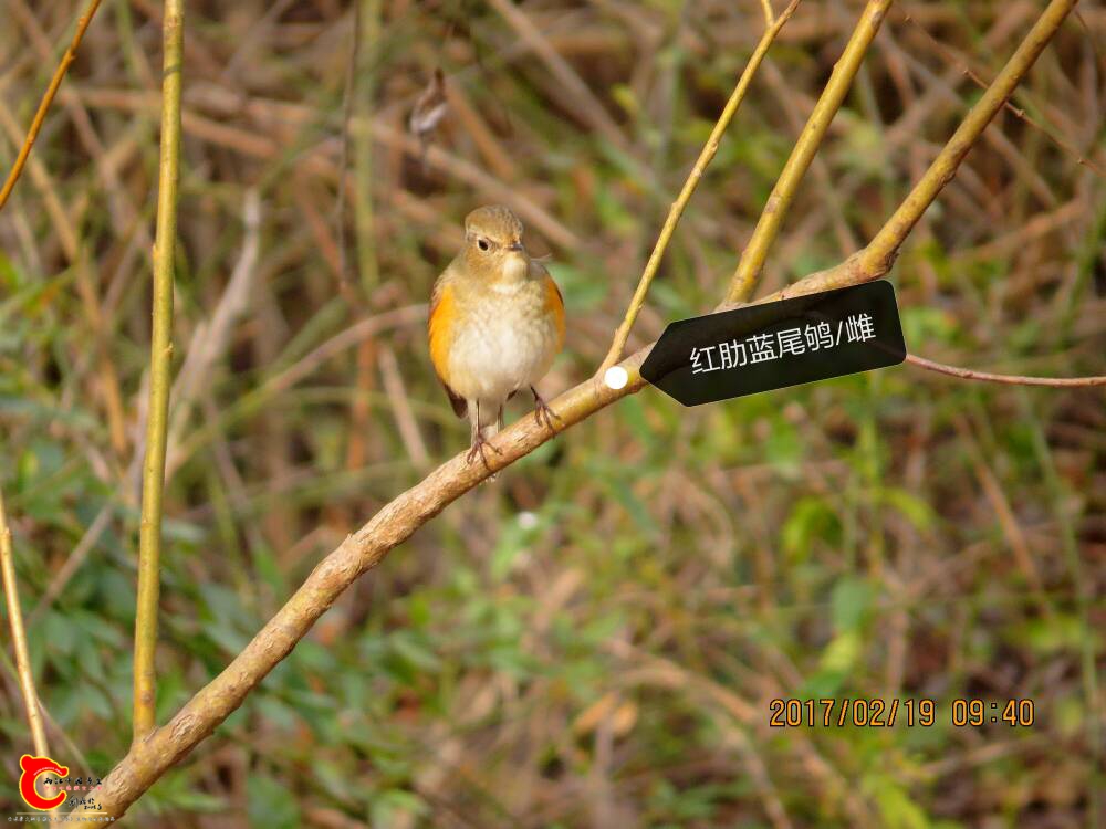 130020axewoeeec7jj7jeq.jpg