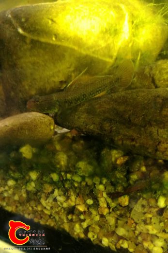 IMG_20170219_211421.jpg