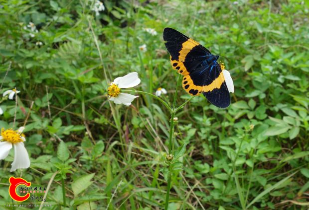 DSC04341_副本_副本_副本.jpg