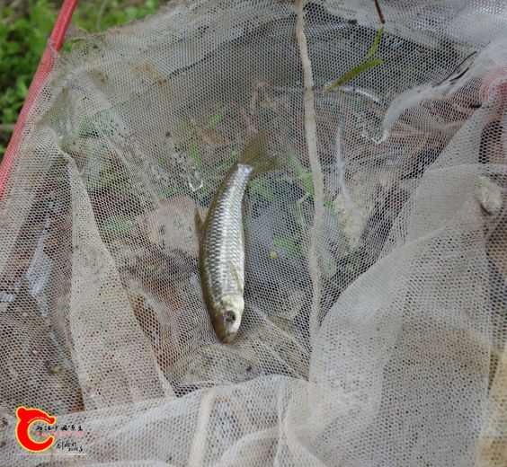 DSC04360_副本.jpg