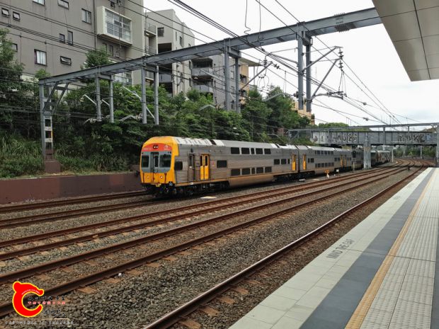 P70101-122416.jpg