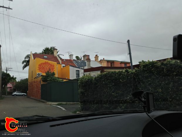 P61231-142213.jpg