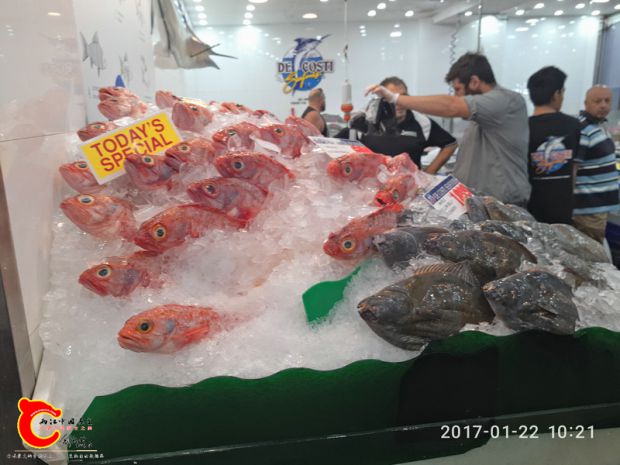P70122-102158.jpg