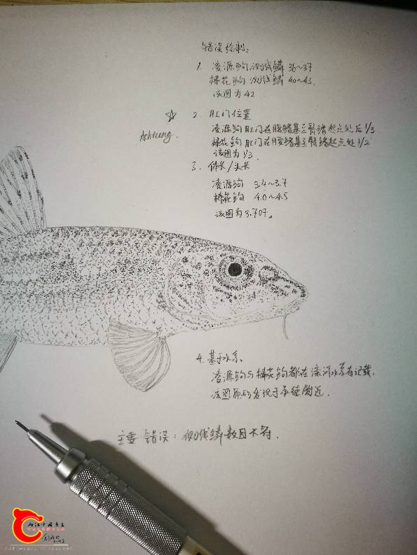 105900uwqql0wqdqh0lsx0.jpg