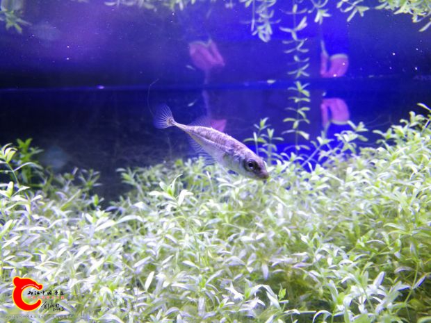 IMG_20161128_211735.jpg