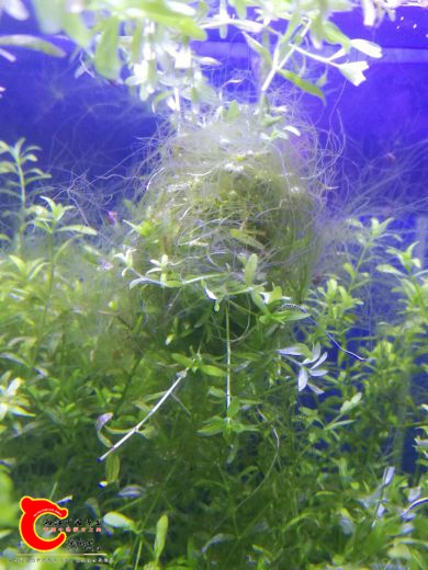 IMG_20170203_181554.jpg