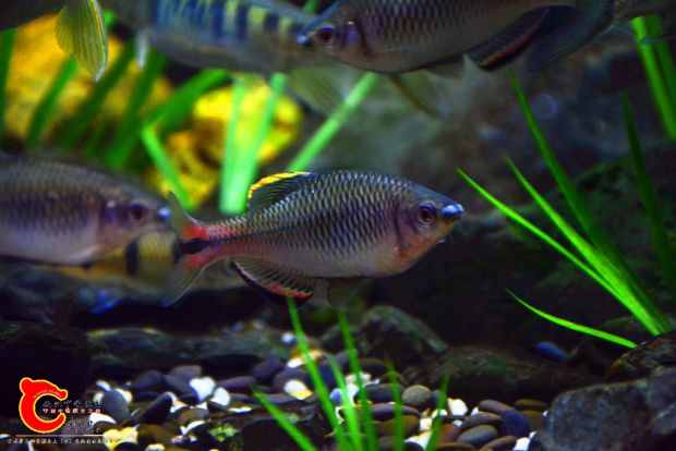 DSC_2846.JPG