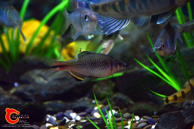 DSC_2847.JPG