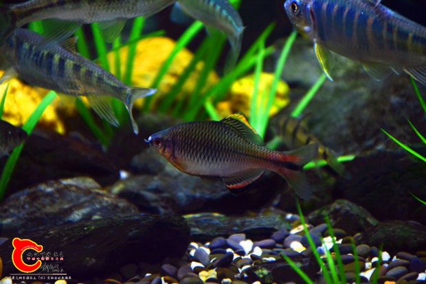 DSC_2848.JPG