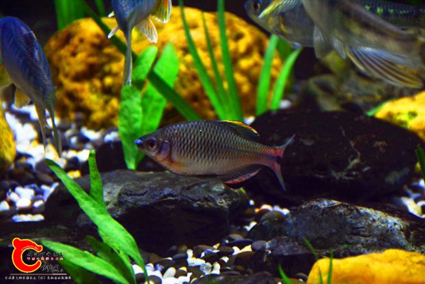 DSC_2852.JPG