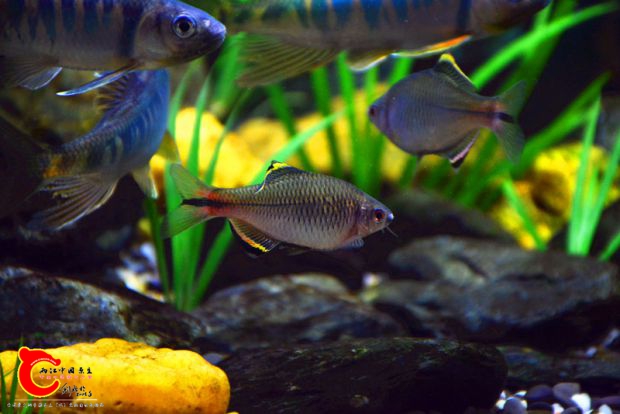 DSC_2857.JPG