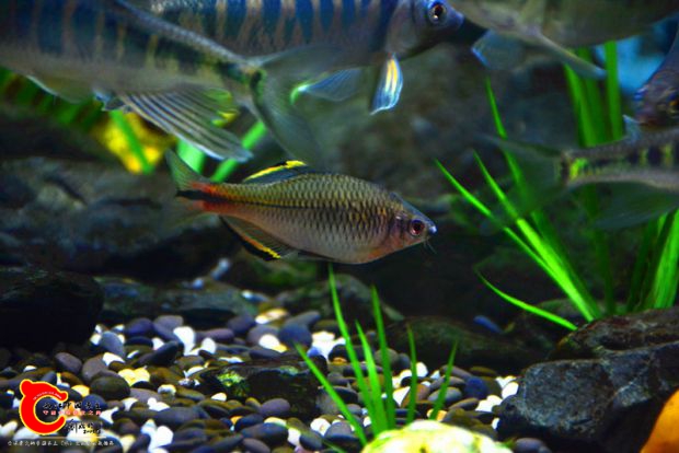 DSC_2858.JPG