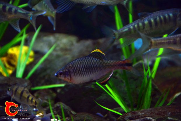 DSC_2860.JPG