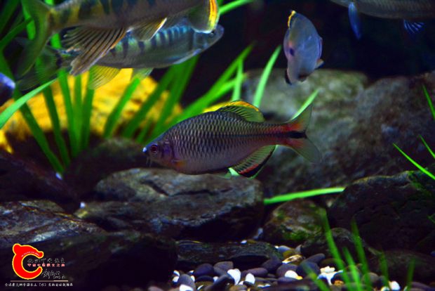 DSC_2867.JPG