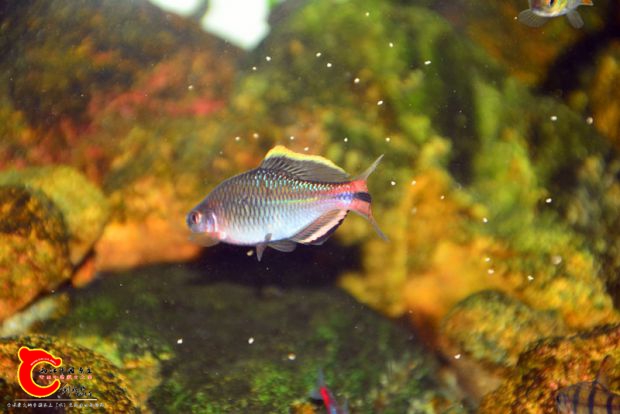 DSC_2873.JPG