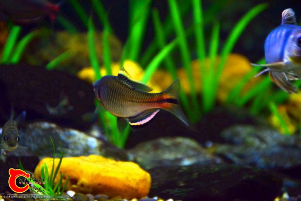 DSC_2877.JPG