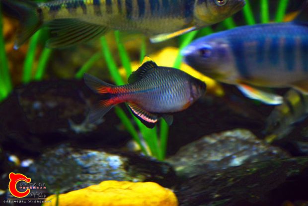 DSC_2881.JPG