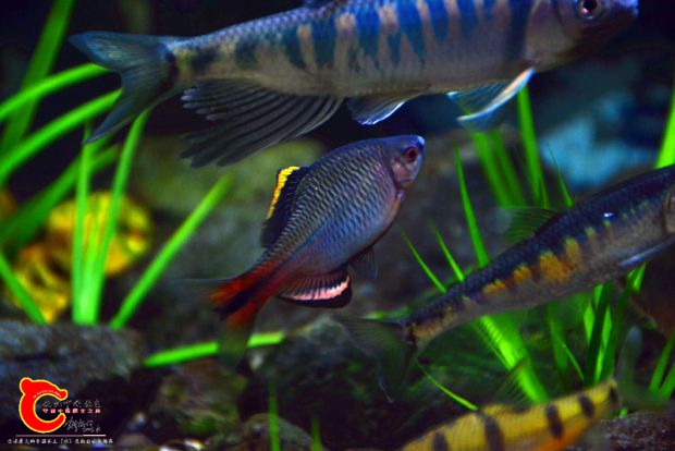 DSC_2883.JPG