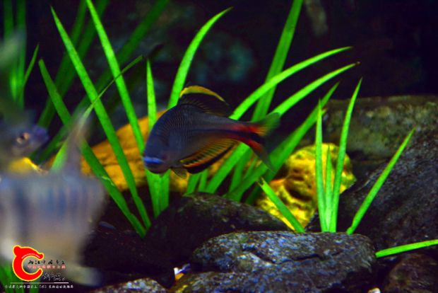 DSC_2884.JPG