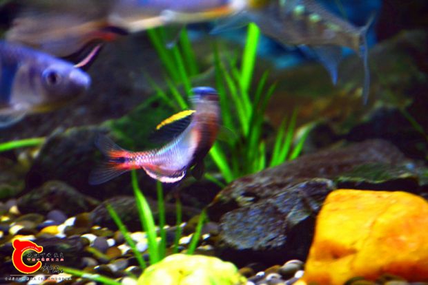 DSC_2885.JPG
