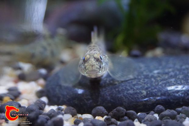 nEO_IMG_DSC05541.jpg