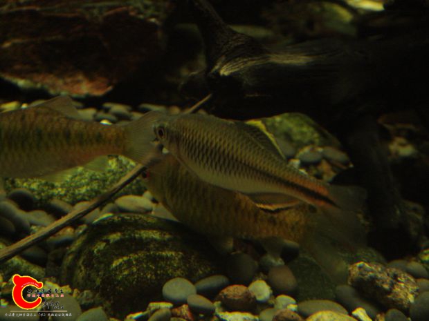 DSC02505.JPG