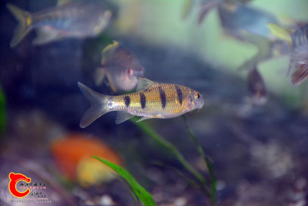 DSC_2901.JPG