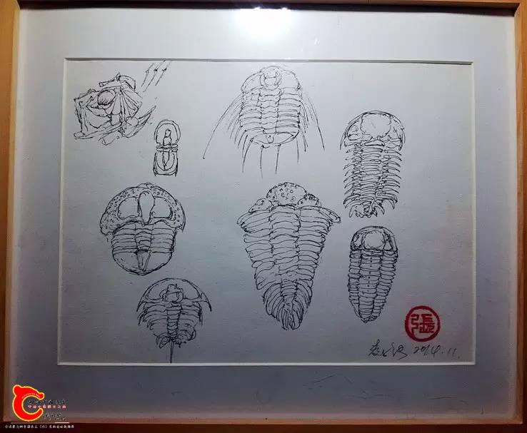 d06784924b48ad2bb4571220bb594c61.jpg