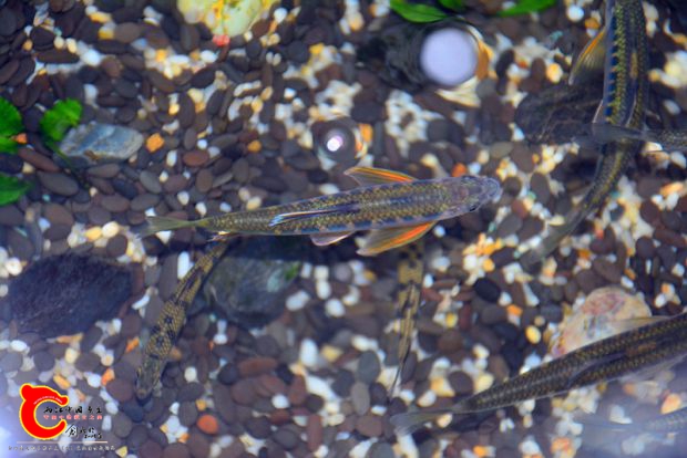 DSC_2920.JPG