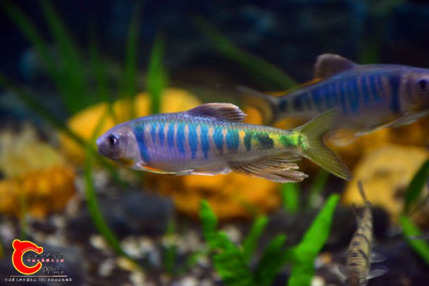 DSC_2939.JPG