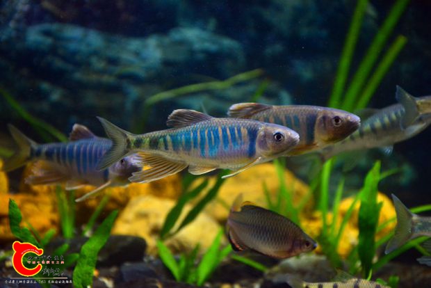 DSC_2944.JPG